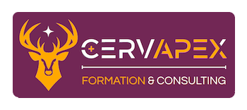 CERVAPEX &mdash; Formation & Consulting