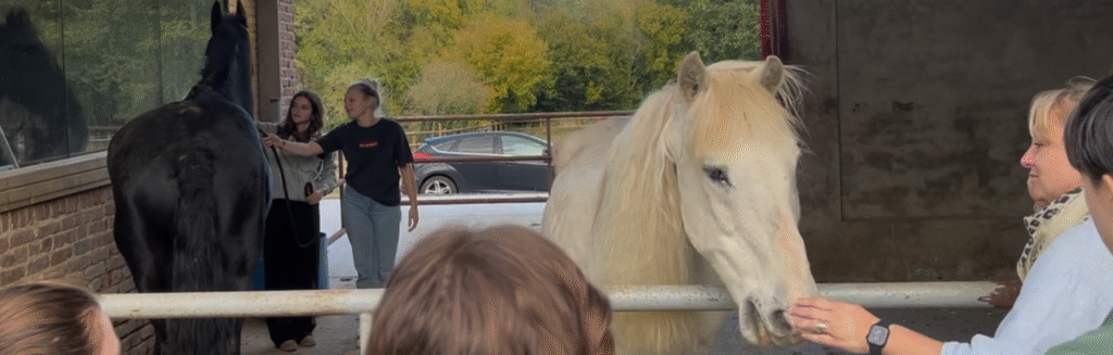 CERVAPEX Alésia Formation Amiens GPME 2 Gestion des risques